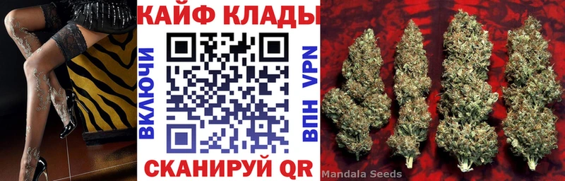 Купить закладку Гашиш  A-PVP  Меф мяу мяу  Героин  Каннабис  Новосибирск